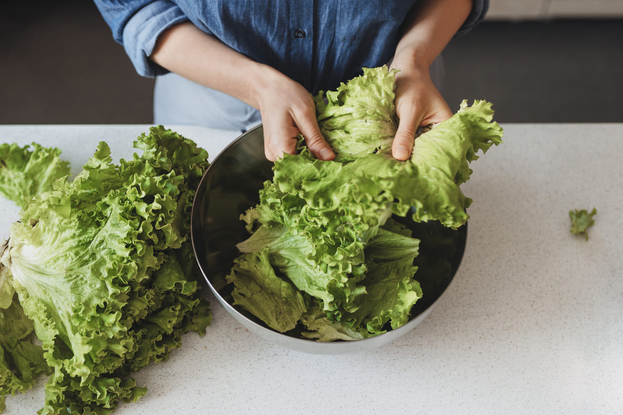Como conservar alface na geladeira: saiba armazenar por até 15 dias