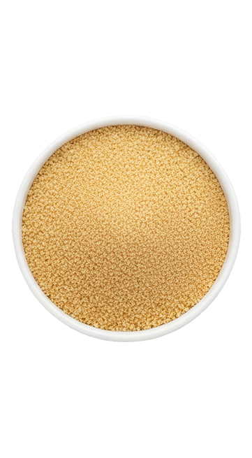 SAZÓN ® Tempera & Prepara SAZÓN ® Tempera & Prepara