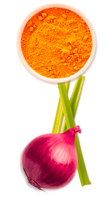 Caldos em Pó SAZÓN ® Caldos em Pó SAZÓN ®