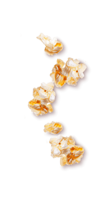 Tempero SAZÓN® para Pipoca Tempero SAZÓN® para Pipoca