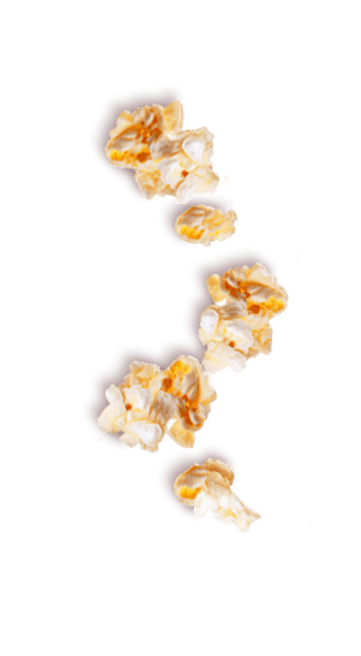 Tempero SAZÓN® para Pipoca Tempero SAZÓN® para Pipoca