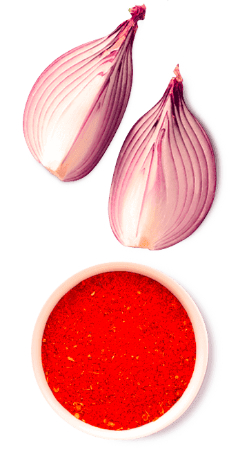 Temperos SAZÓN ® Temperos SAZÓN ®