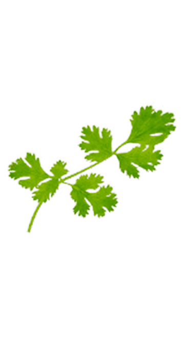 Tempero SAZÓN® Meu Toque Ervas Sachê Tempero SAZÓN® Meu Toque Ervas Sachê