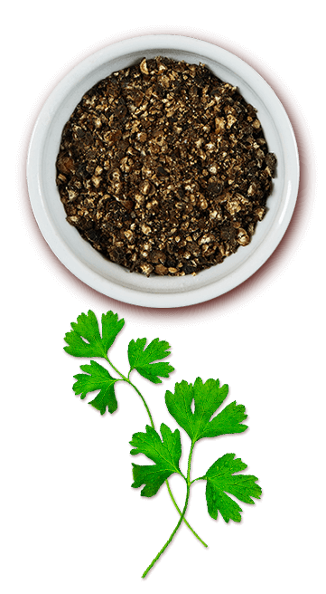 SAZÓN® Tempera & Dá Liga Tradicional SAZÓN® Tempera & Dá Liga Tradicional