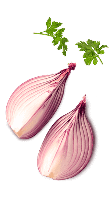 Tempero SAZÓN® Sabores do Nordeste Tempero SAZÓN® Sabores do Nordeste