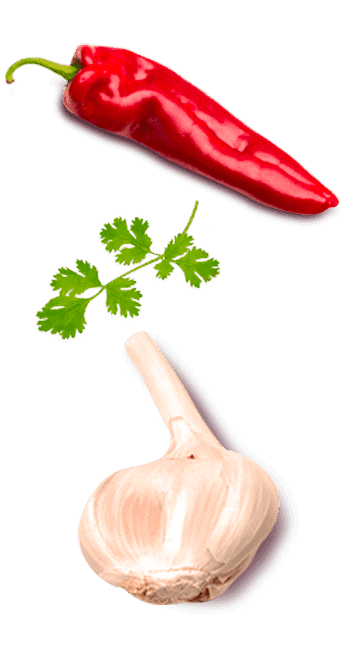 Tempero SAZÓN® Sabores do Nordeste Tempero SAZÓN® Sabores do Nordeste