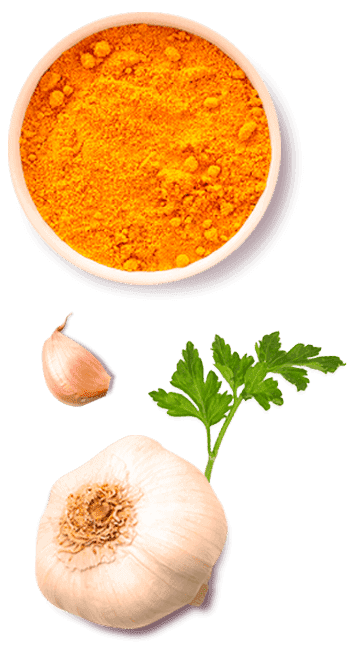 Tempero SAZÓN® Toque De Alecrim Tempero SAZÓN® Toque De Alecrim