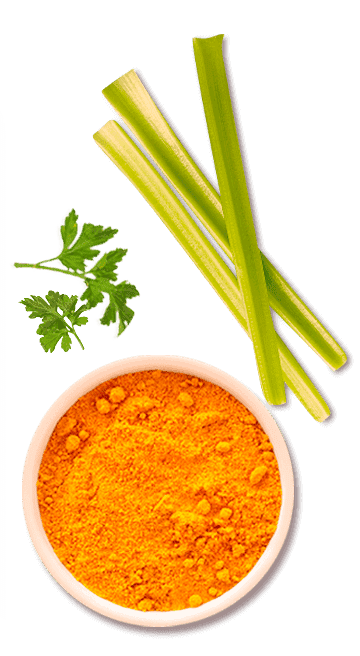 Caldo em Pó SAZÓN® Galinha