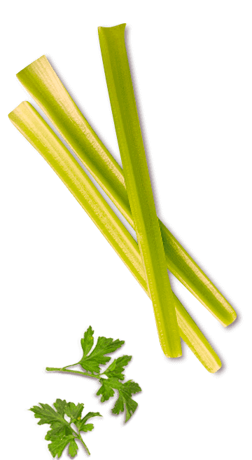 Caldo em Pó SAZÓN® Camarão