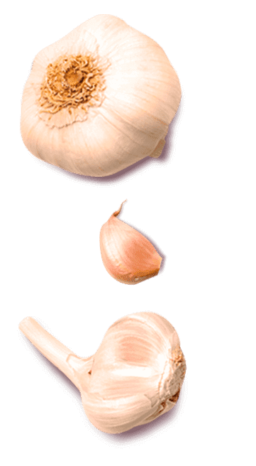 Tempero SAZÓN® Toque De Alho Tempero SAZÓN® Toque De Alho